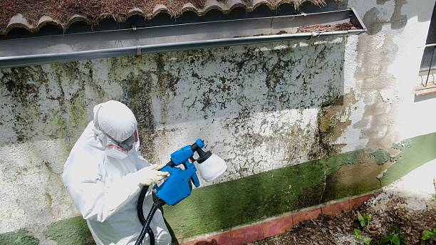 Top rated local Mold Remediation specialists in Salem, VA